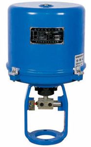 3810L直行程電動執(zhí)行器